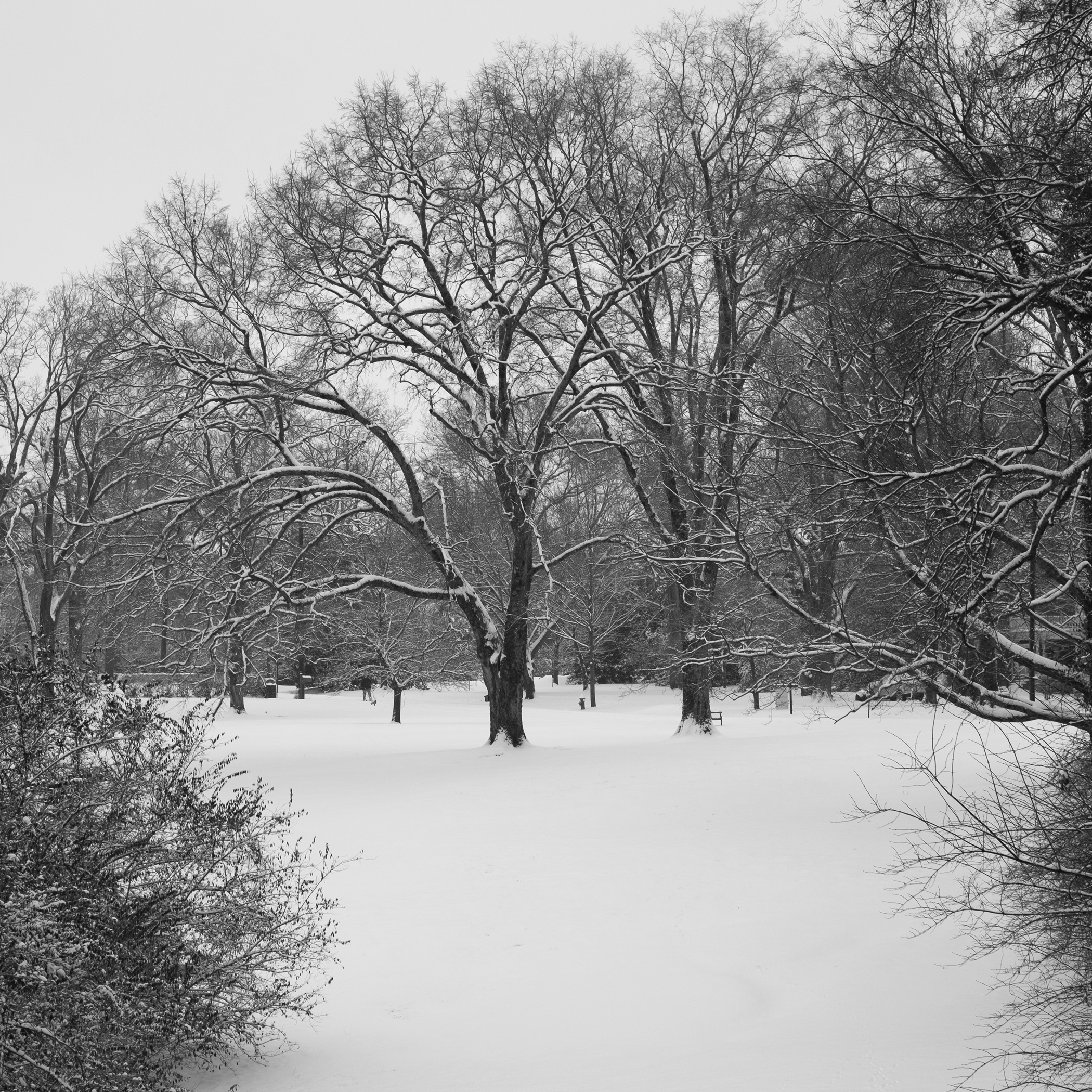 1DSCF8037