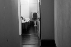 1DSC_2595