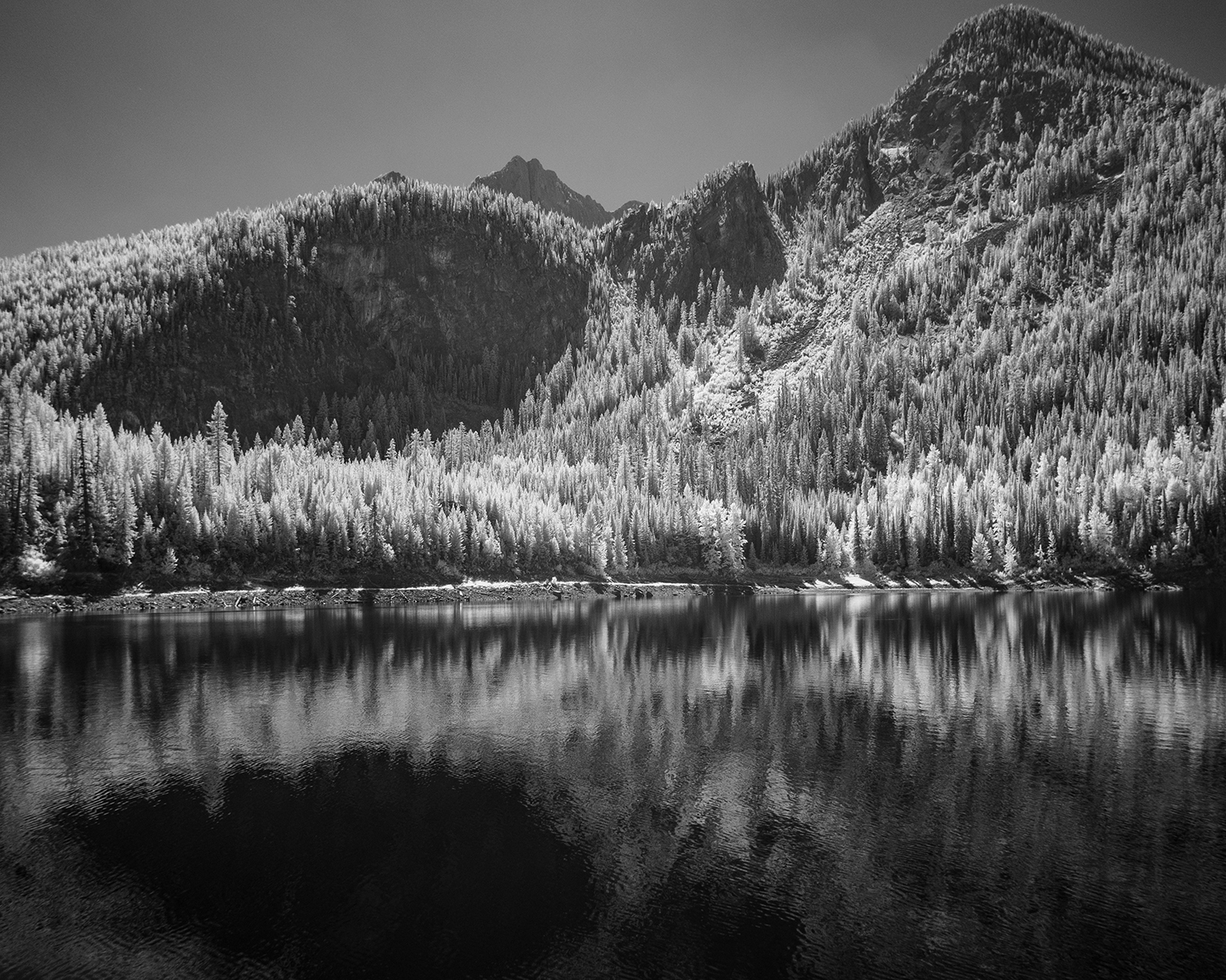 1DSCF9542