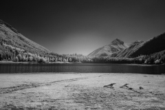 1DSCF9509