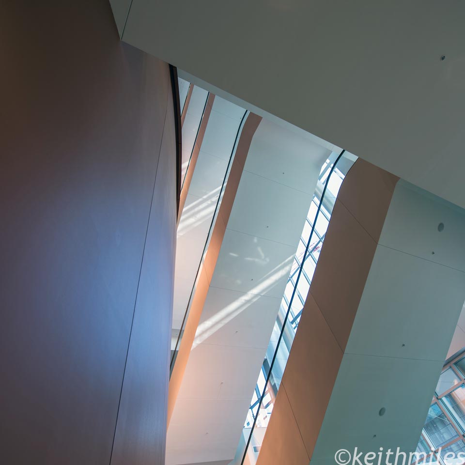 1DSC_1313