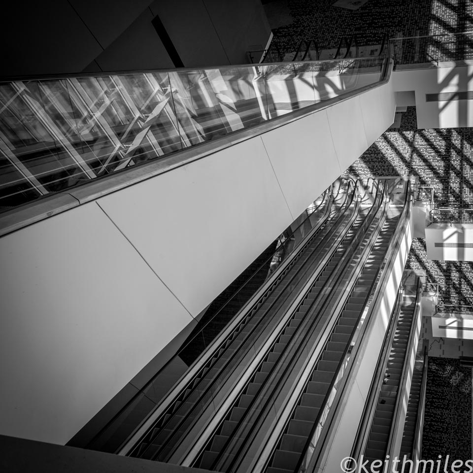 1DSC_1398