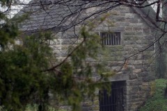 1DSC_8556