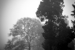 1DSC_8557